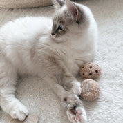 Jouet pour chat - Le sachet de thé