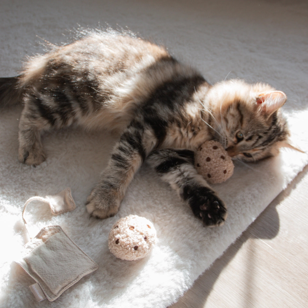 Jouet pour chat - Le sachet de thé