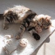 Jouet pour chat - Le sachet de thé
