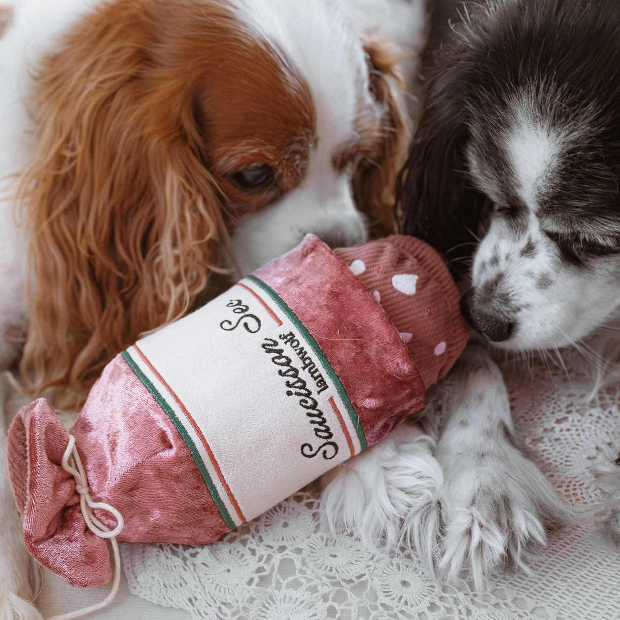 LambwolfCollective-Saucisson-4.webp