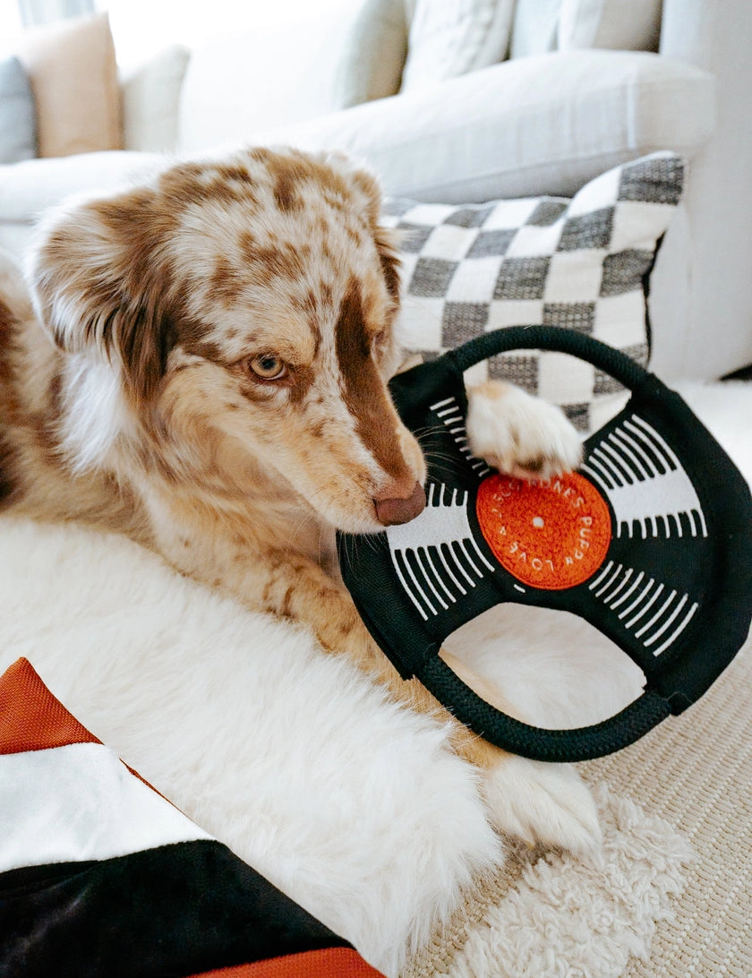 LambwolfCollective-Vinyle-1.webp