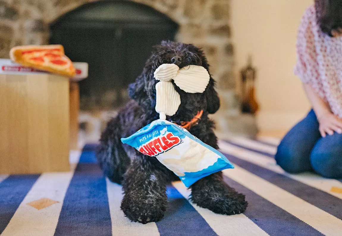 Peluche - Les chips