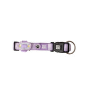 Lumière haute visibilité pour chien - Lilas