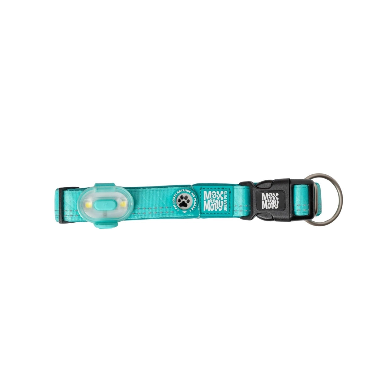 Lumière haute visibilité pour chien - Turquoise