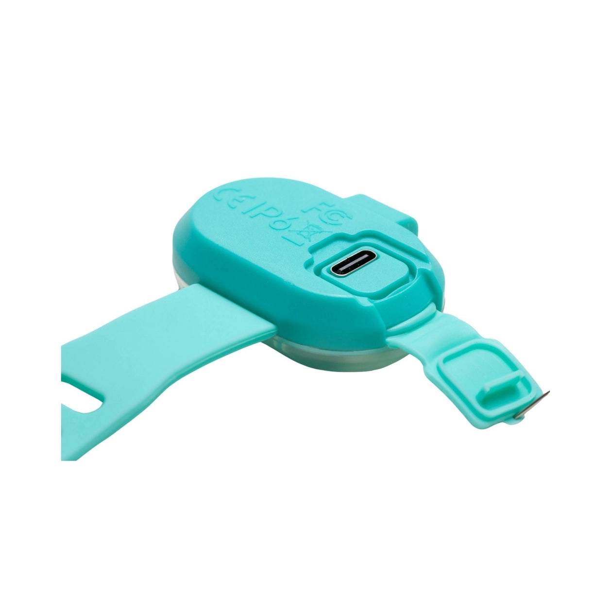 Lumière haute visibilité pour chien - Turquoise