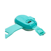 Lumière haute visibilité pour chien - Turquoise