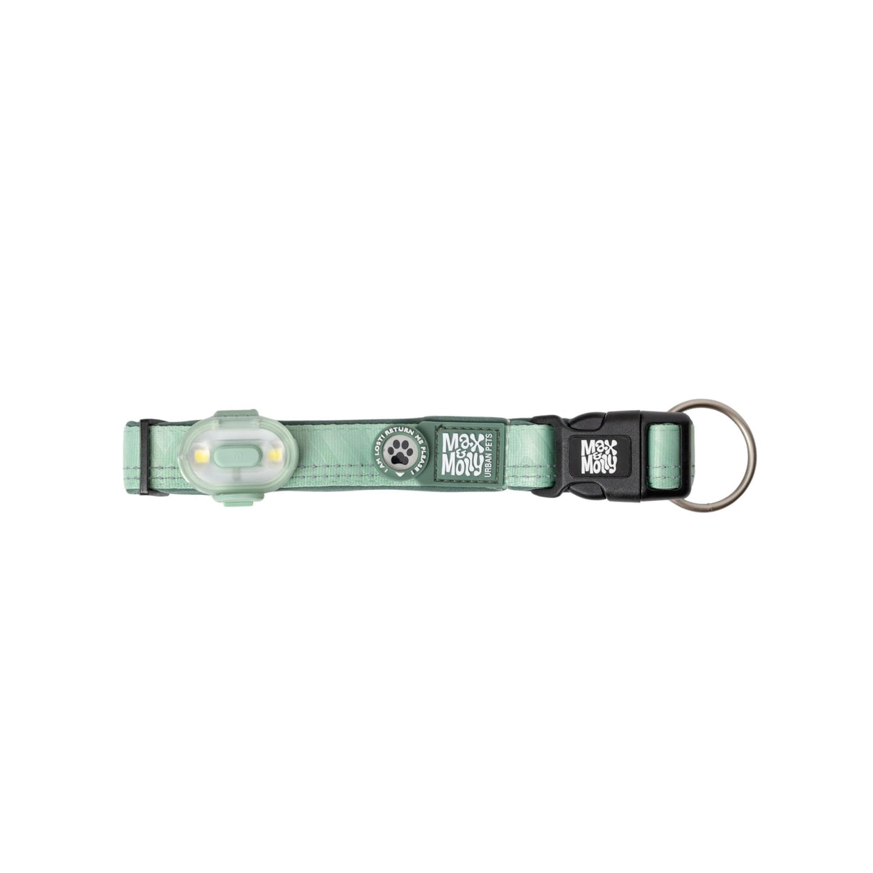 Lumière haute visibilité pour chien - Vert
