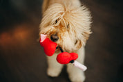 Peluche - Les coeurs