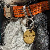 Médailles personnalisables pour chien-Médailles-Muzon