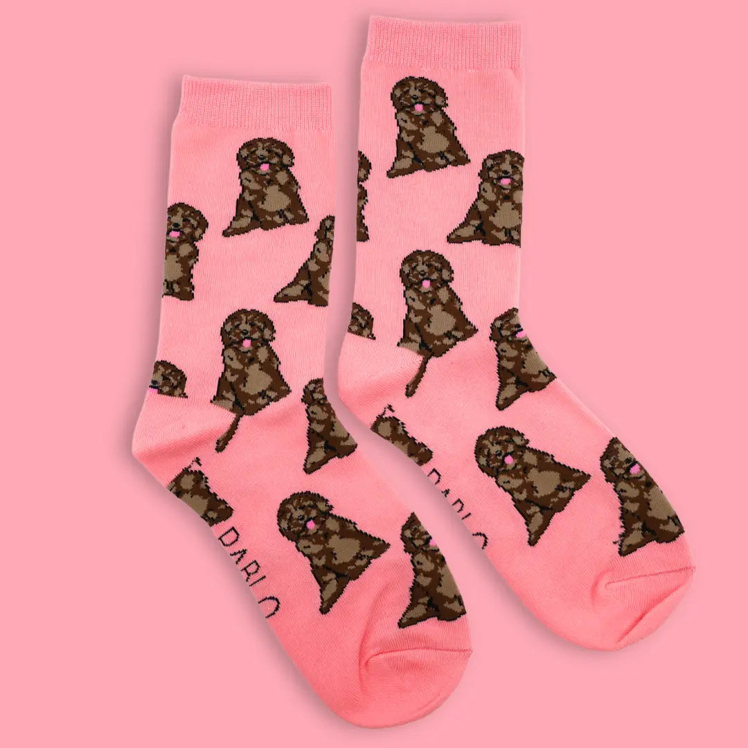 Chaussettes Dog Race - Cockapoo