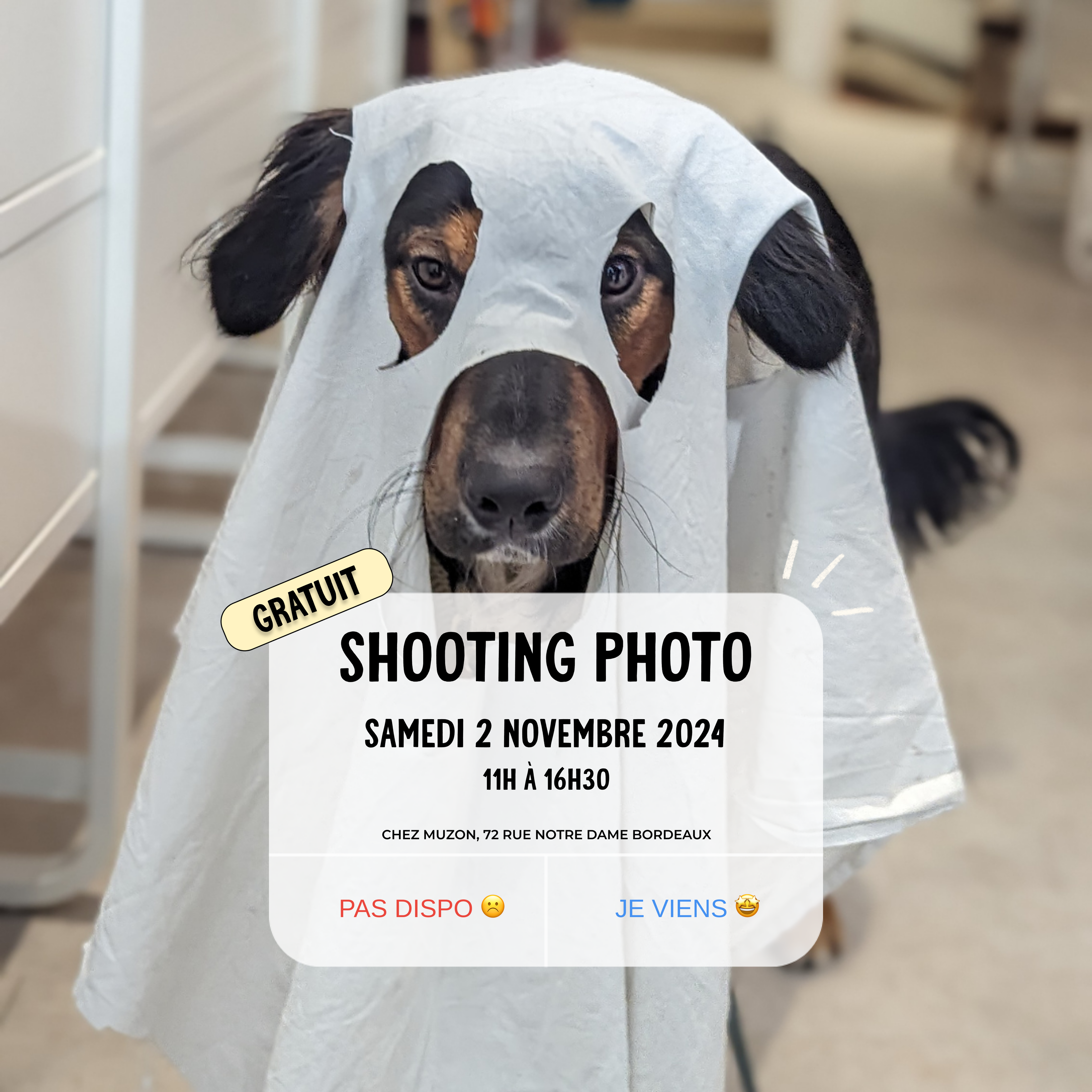 Photoshoot9nov.png