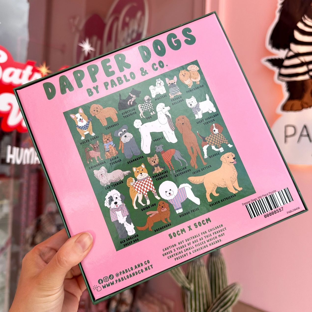 Puzzle 500 pièces - Chiens pimpants