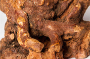 Racine de bruyère - Mastication naturelle