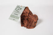 Racine de bruyère - Mastication naturelle