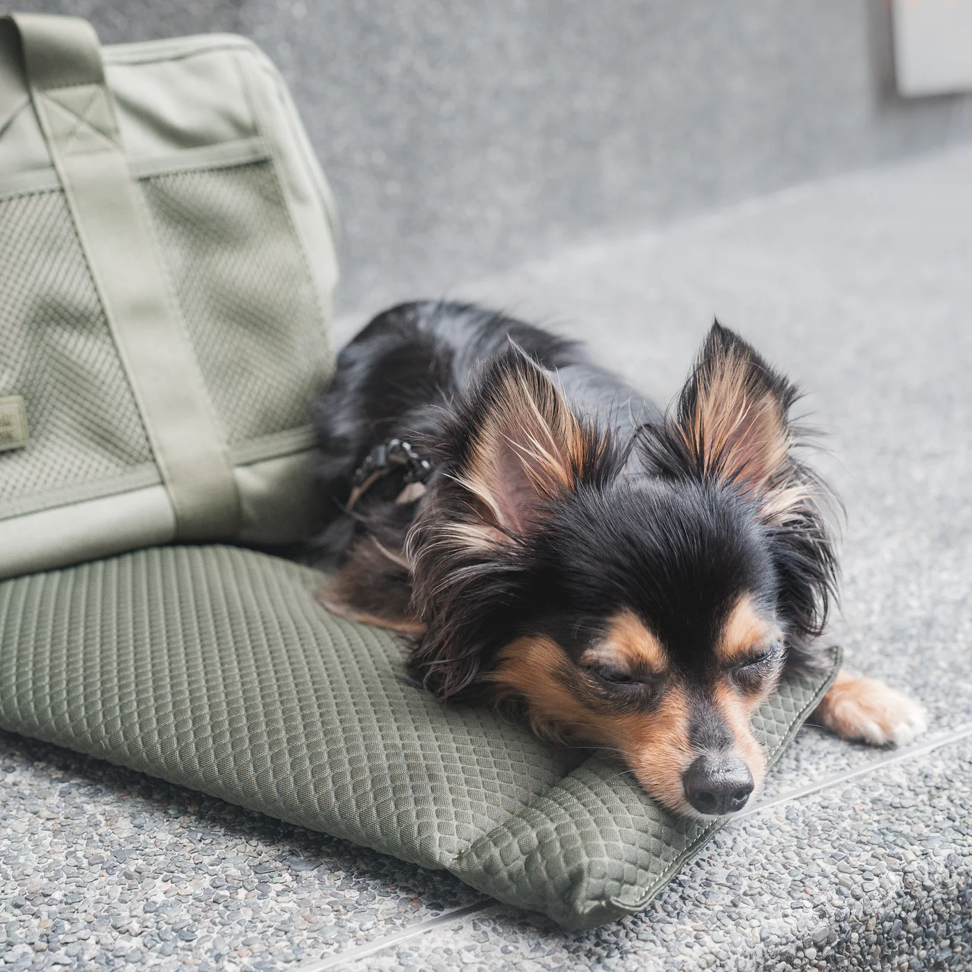 Hundetragetasche – Khaki