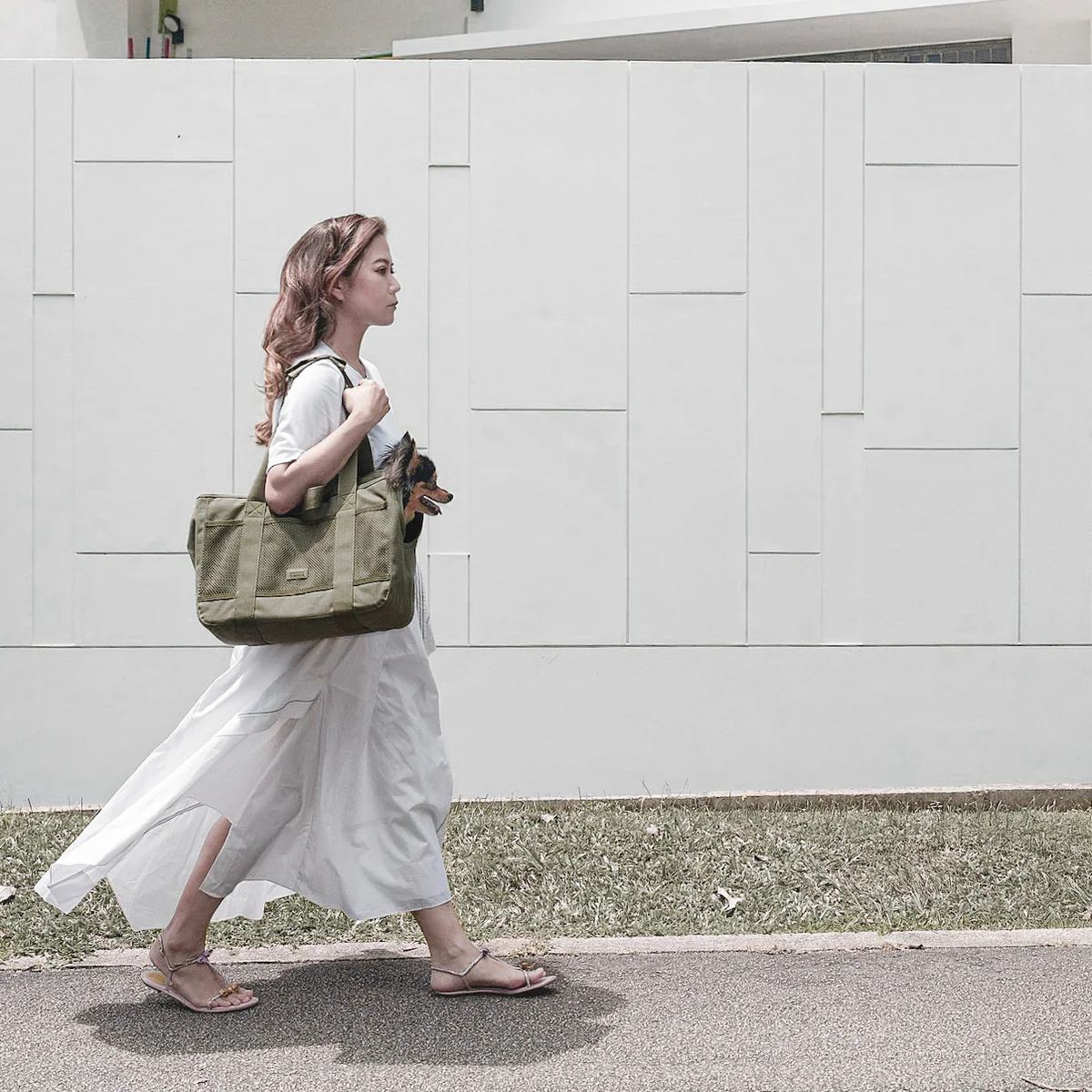 Hundetragetasche – Khaki