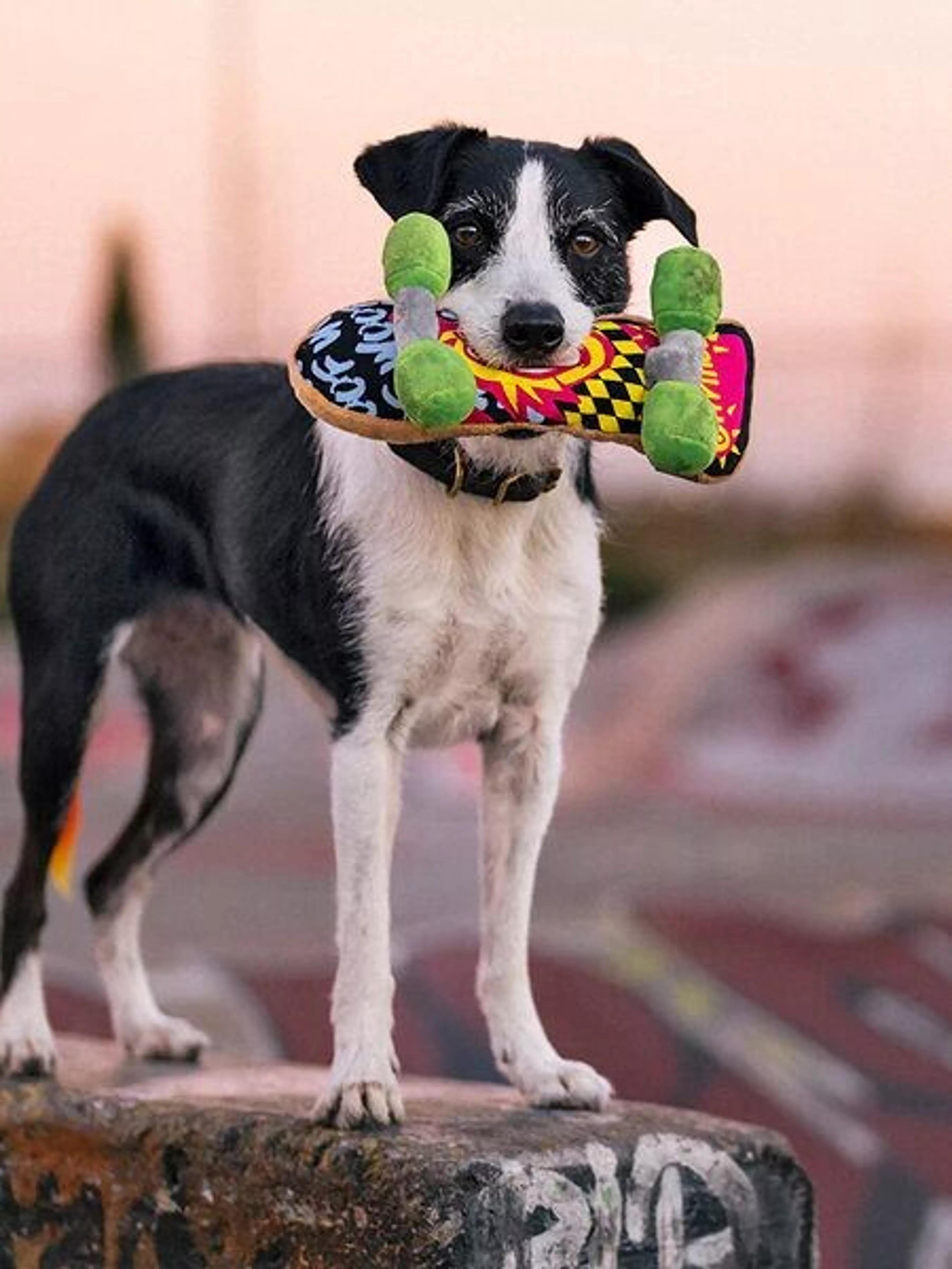 Plüschtier – Das Skateboard