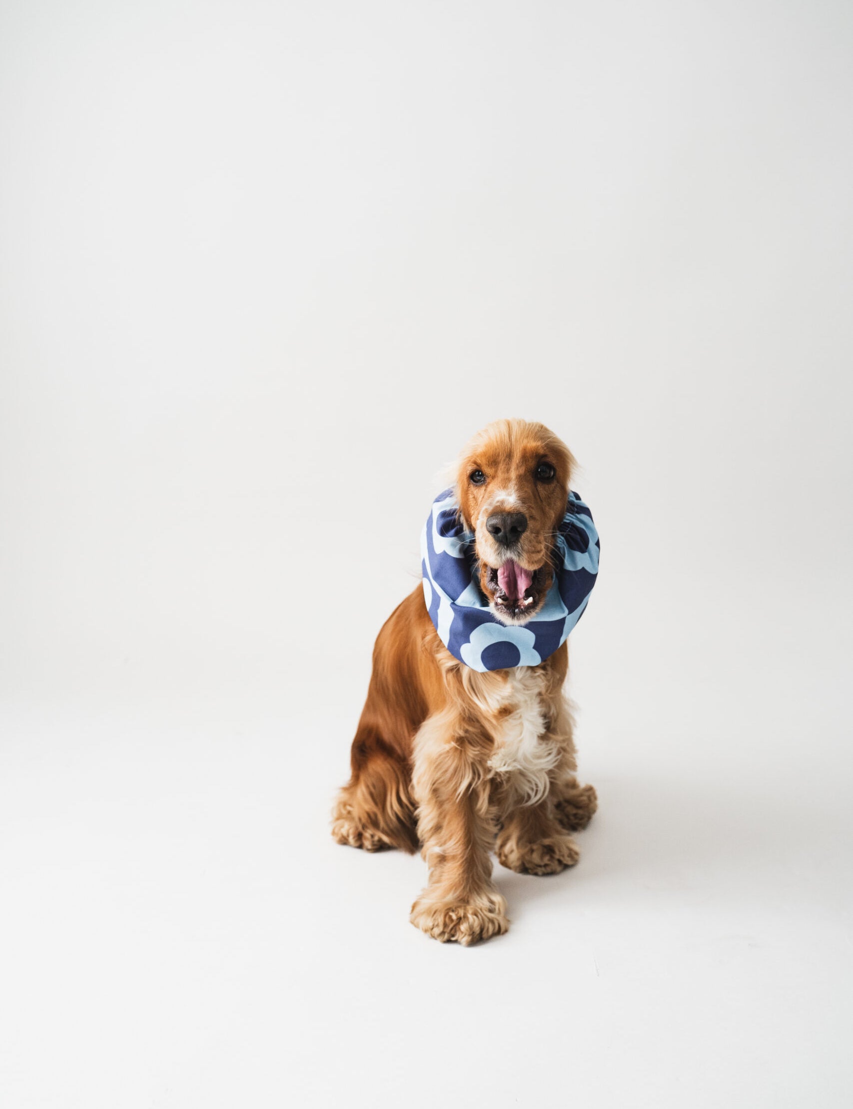 Snood-BlueFlower-LouandCo1.jpg