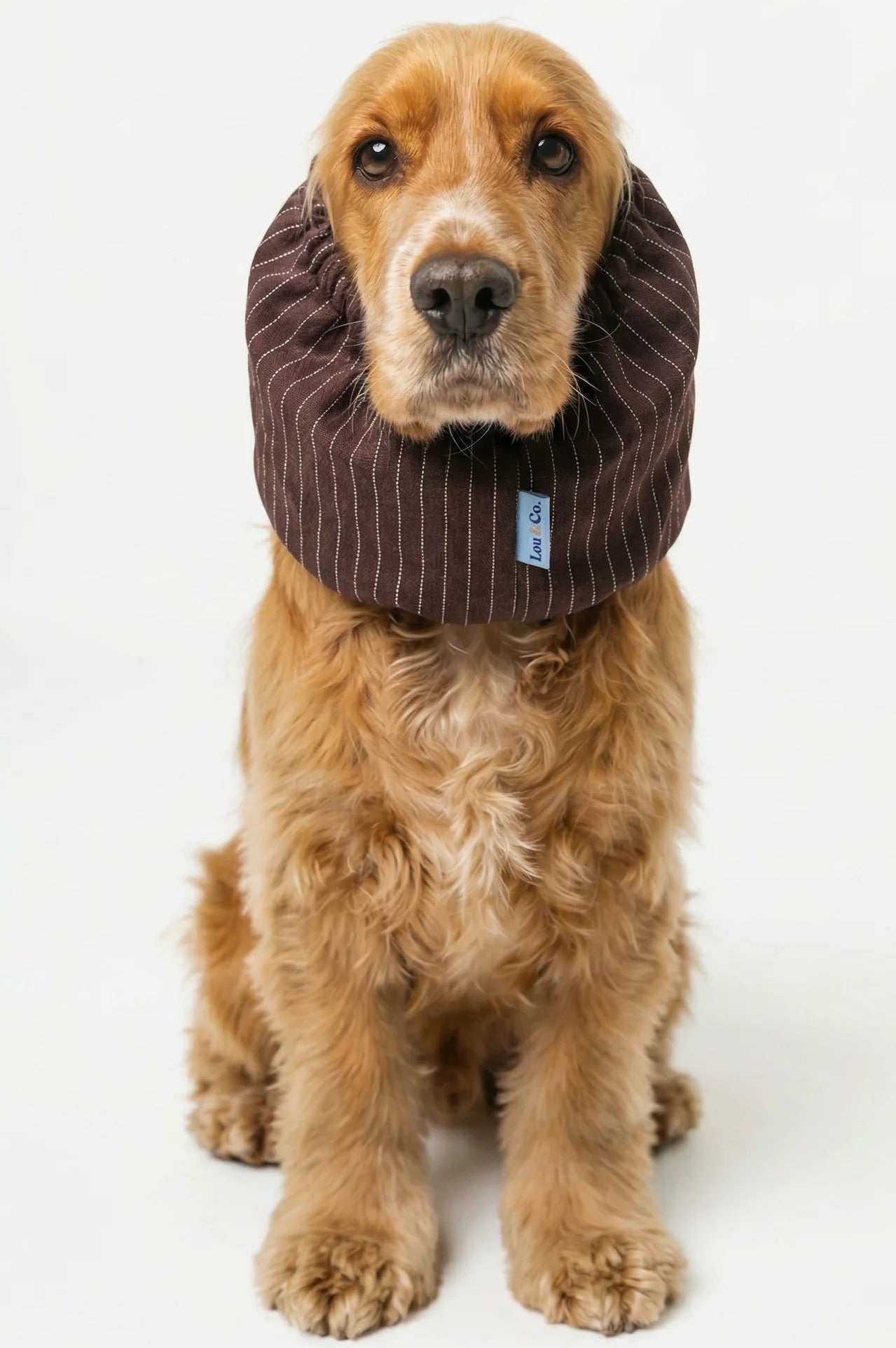 Snood - Summer rayures marrons