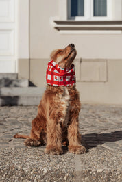 Snood - Fraises