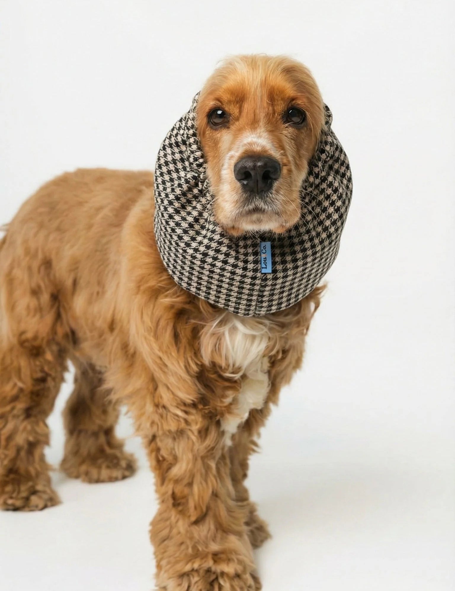 Snood-vichy2.jpg