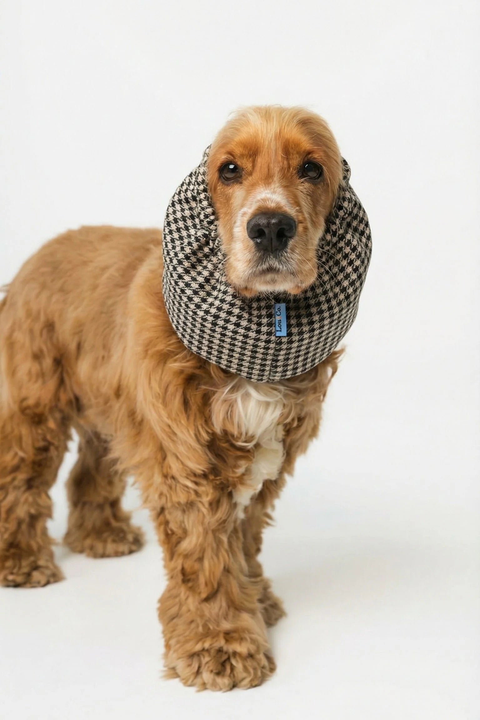 Snood - Vichy