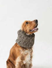 Snood - Zebra