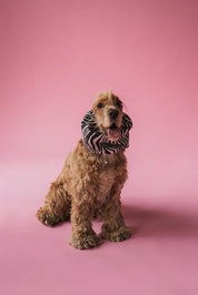 Snood - Zebra