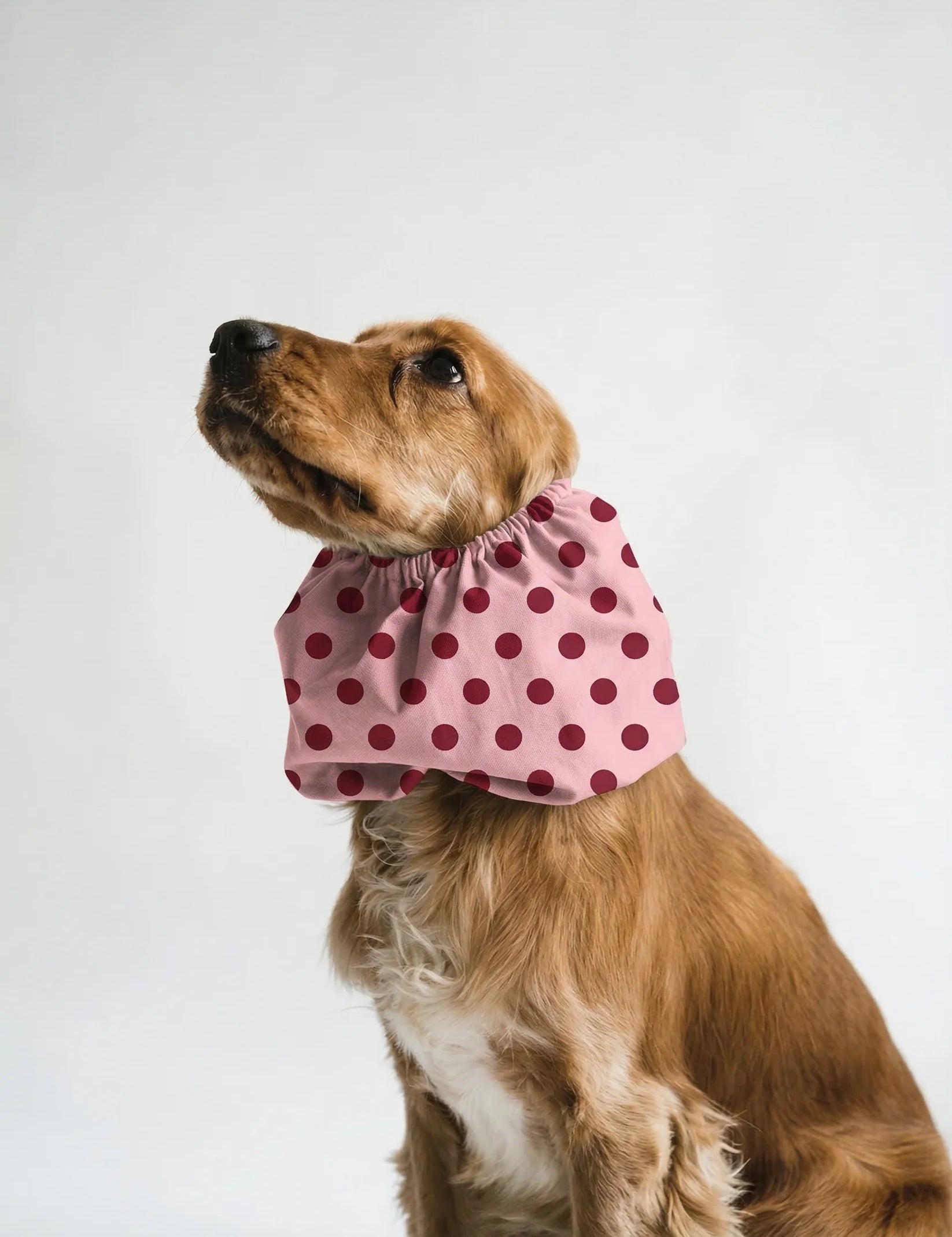 Snood_a_pois_rose_2.webp