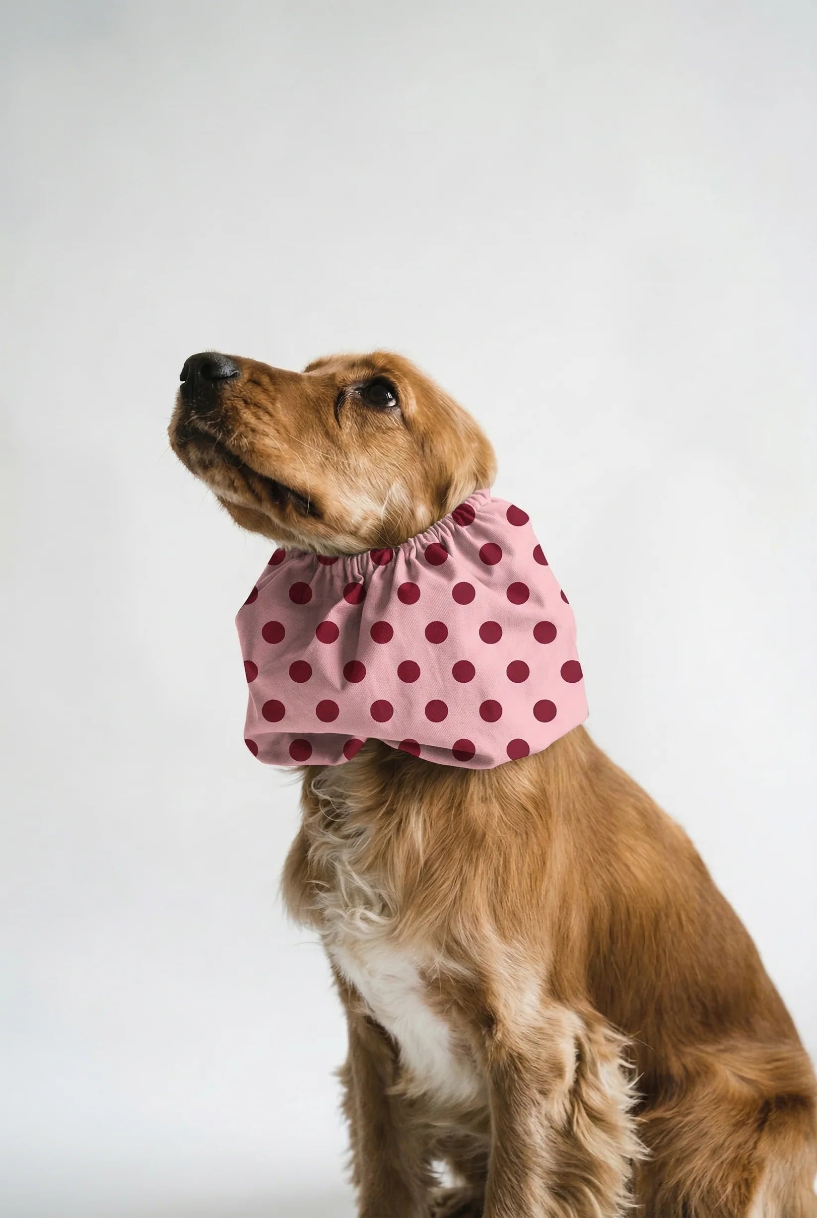 Snood - Pink dots