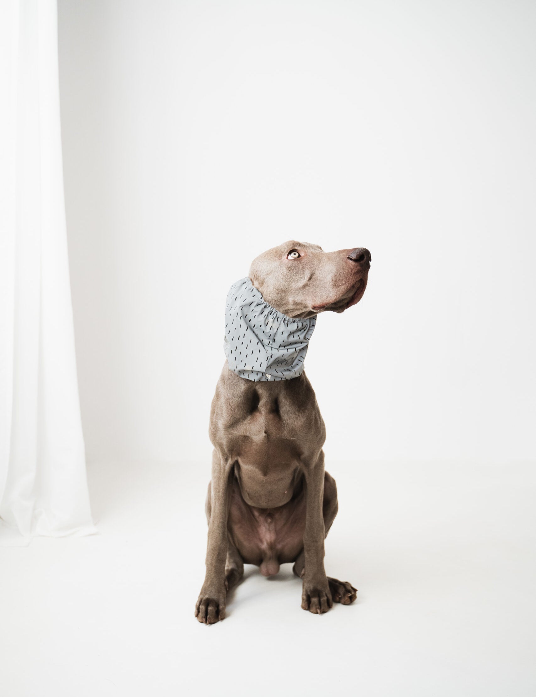 Snood imperméable réfléchissant - Gris-Snoods-Muzon