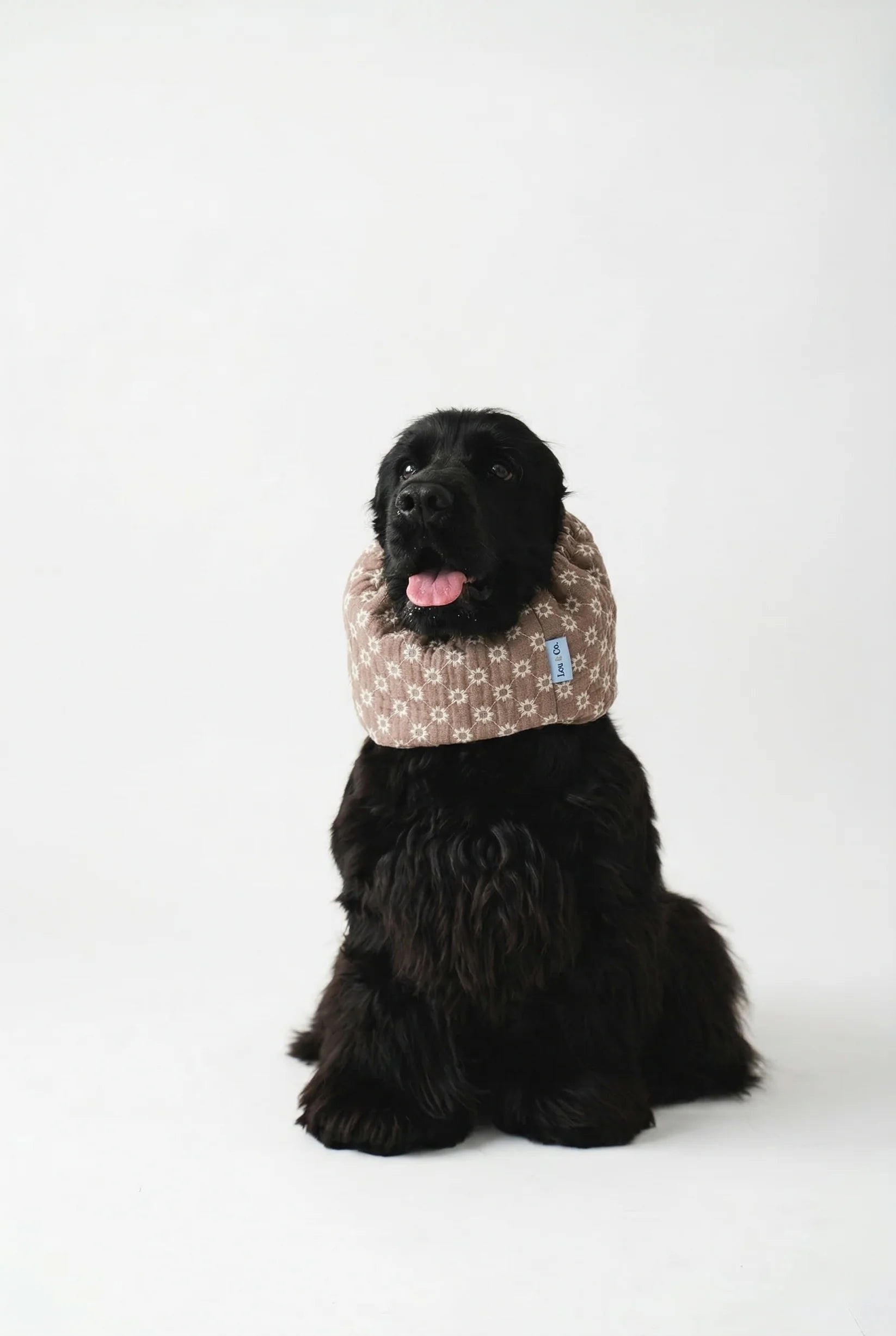 Snood - Summer Daisy