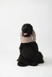 Snood - Summer Daisy
