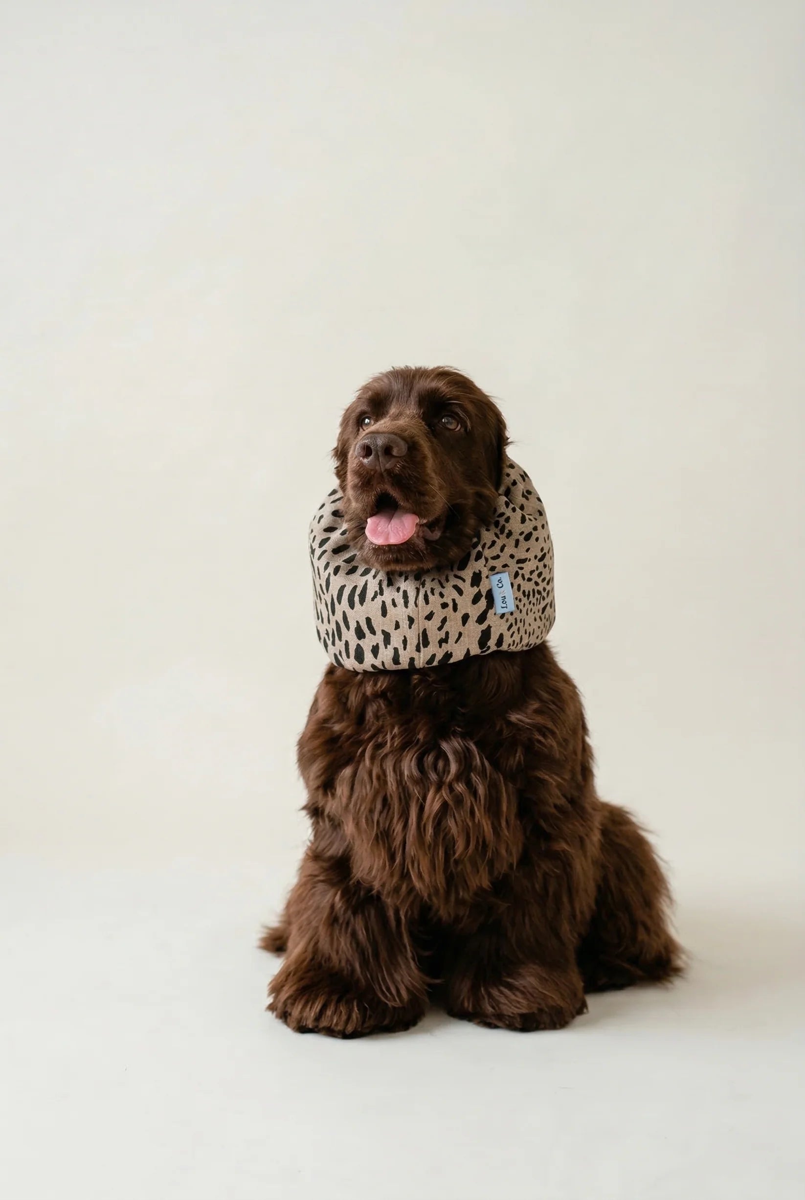 Snood - Summer Dune