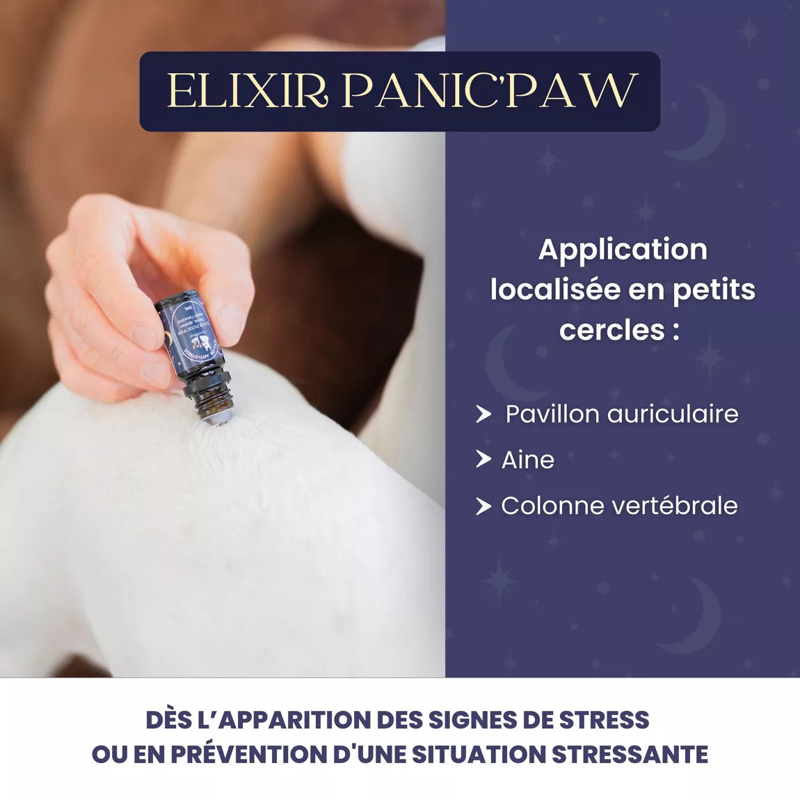 Roll-on apaisant pour chien