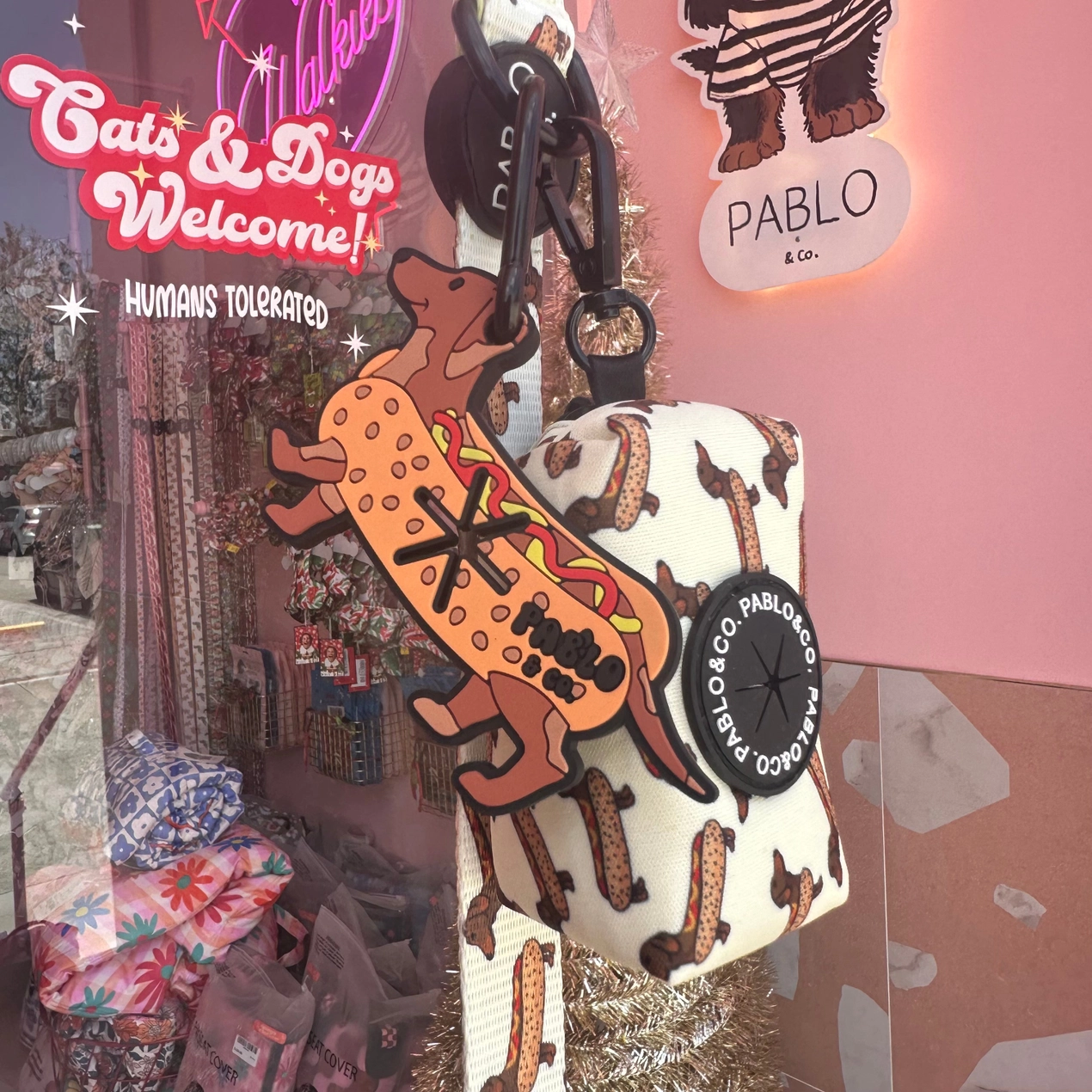 Supportsacsadejection-Pablo_Co6.png