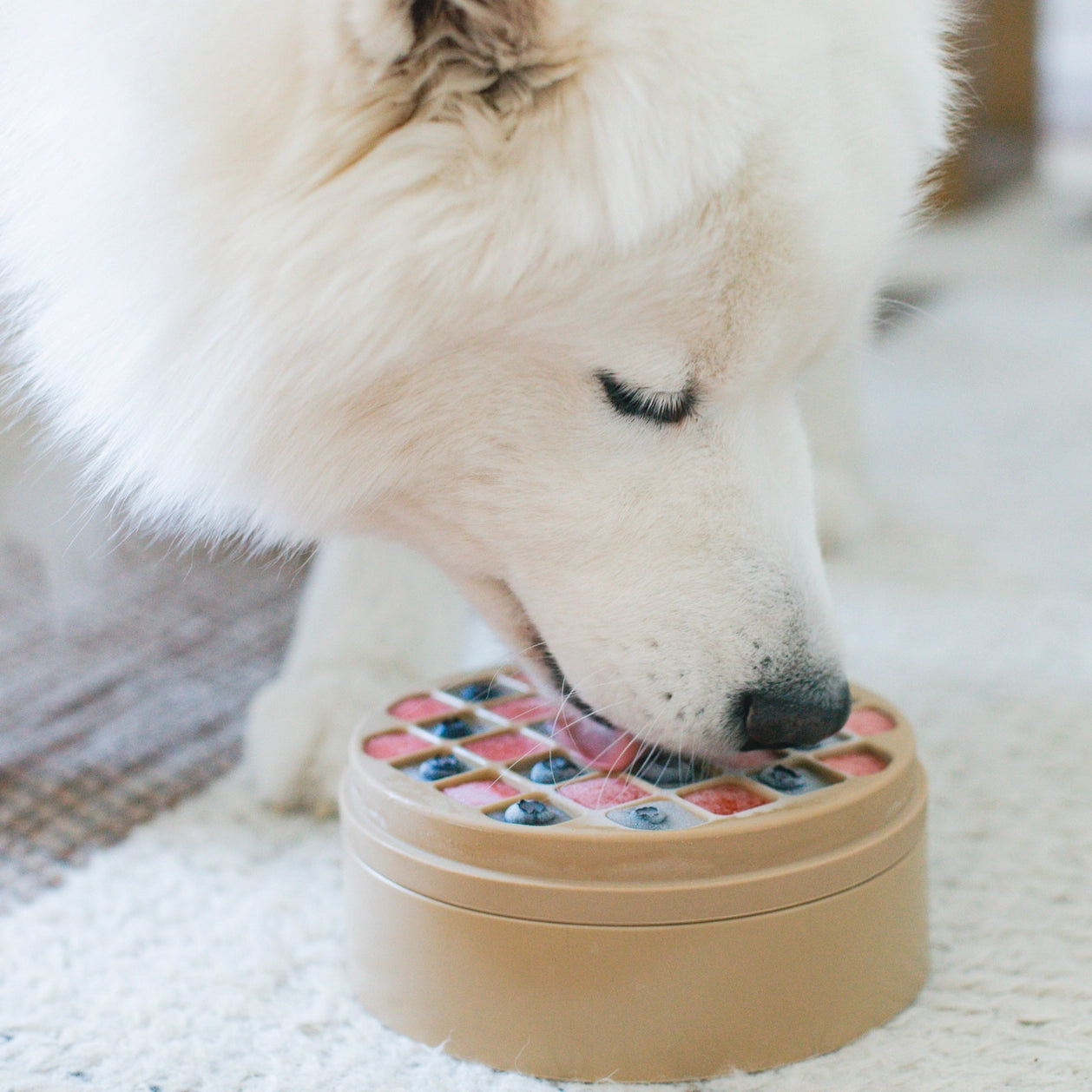 Tapis de léchage bento