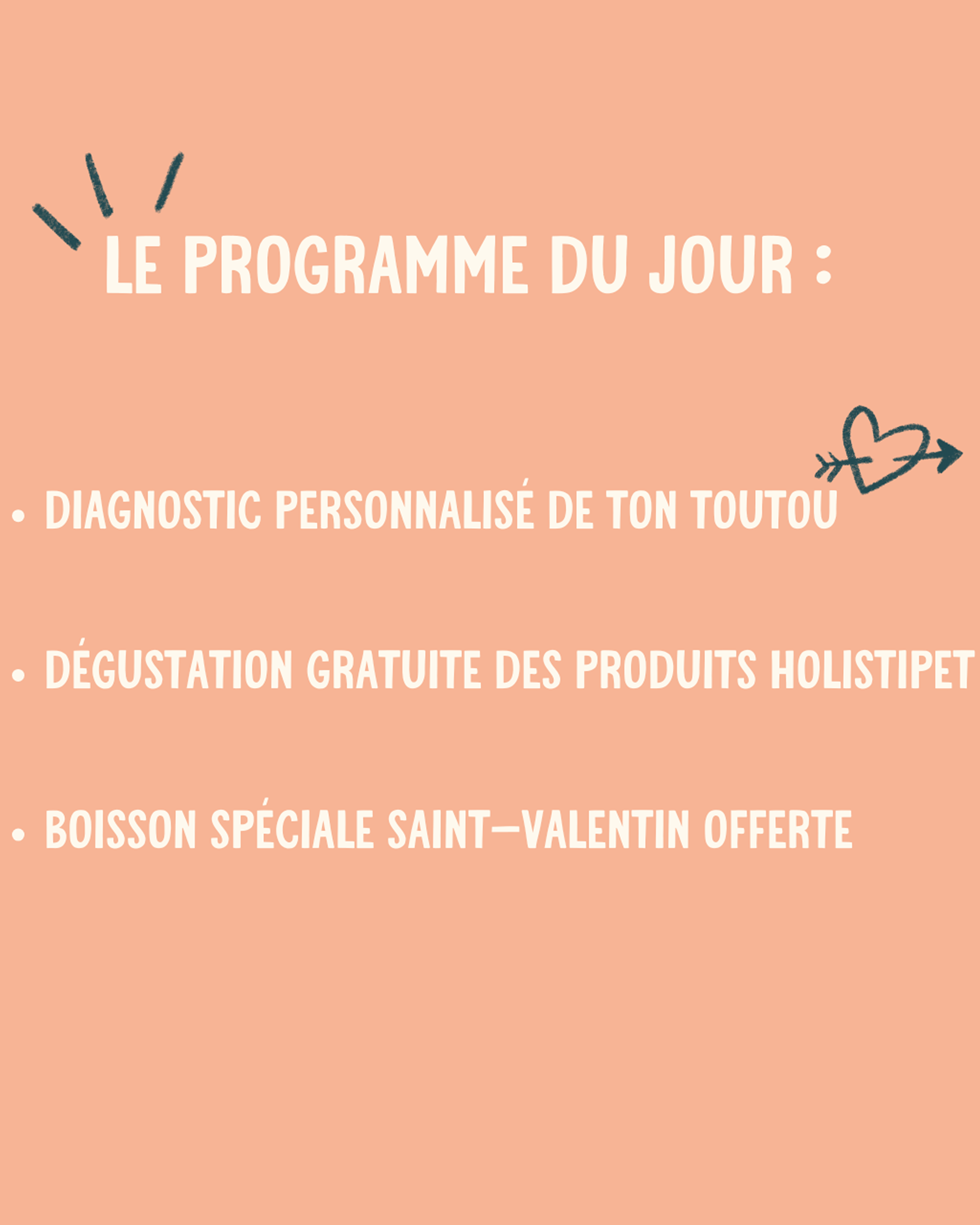 Special Days #6 - Diagnostic santé avec Holistipet - 15.02.2025
