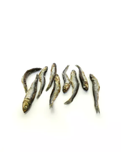 Friandise pour chien - Anchois entiers | Muzon