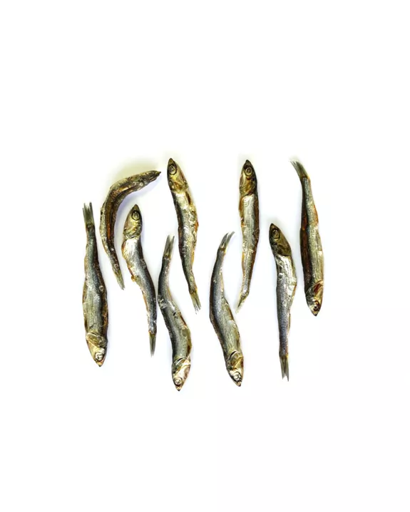 Friandise pour chien - Anchois entiers