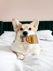 Badge thermocollant pour chien "Always hungry"-Patch et badges-Scoot's Honor-Muzon