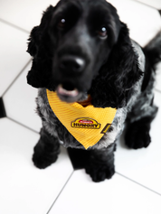 Badge thermocollant pour chien "Always hungry"-Patch et badges-Scoot's Honor-Muzon