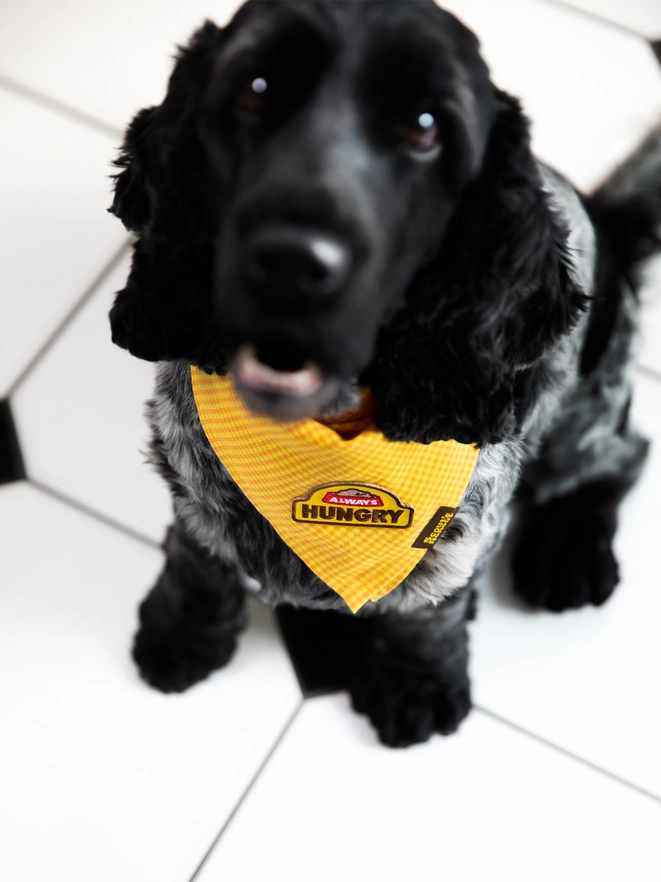 Badge thermocollant pour chien "Always hungry"-Patch et badges-Scoot's Honor-Muzon