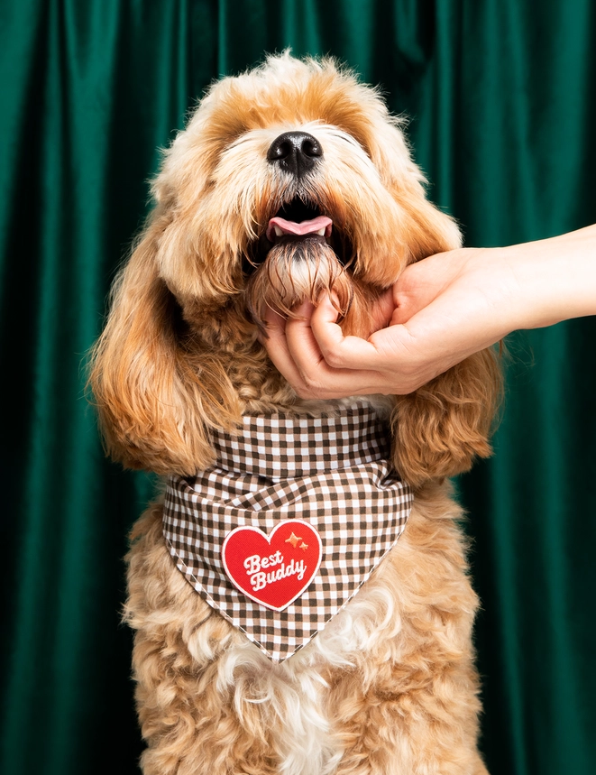 Badge thermocollant pour chien "Best buddy"-Patch et badges-Scoot's Honor-Muzon