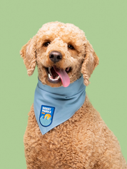 Badge thermocollant pour chien "Doggy paddle pro"-Patch et badges-Scoot's Honor-Muzon