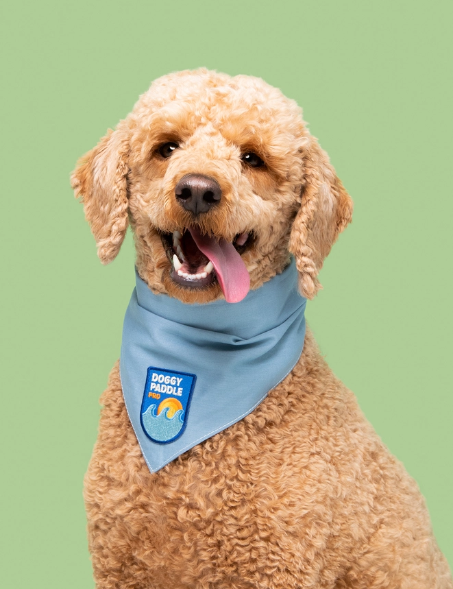 Badge thermocollant pour chien "Doggy paddle pro"-Patch et badges-Scoot's Honor-Muzon