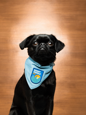Badge thermocollant pour chien "Doggy paddle pro"-Patch et badges-Scoot's Honor-Muzon