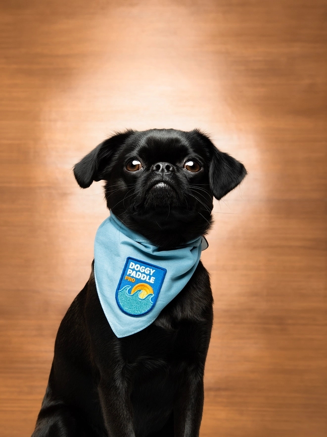 Badge thermocollant pour chien "Doggy paddle pro"-Patch et badges-Scoot's Honor-Muzon