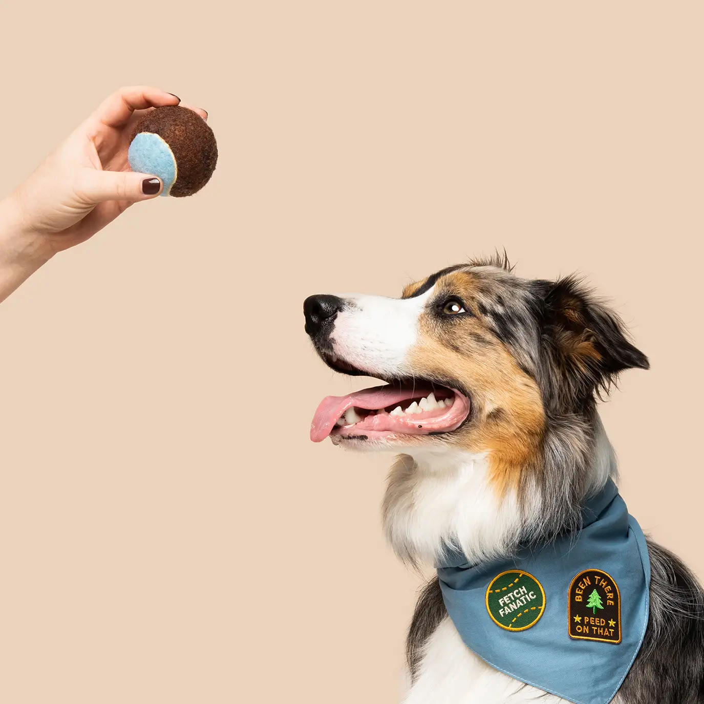 Badge thermocollant pour chien "Fetch Fanatic"-Patch et badges-Scoot's Honor-Muzon