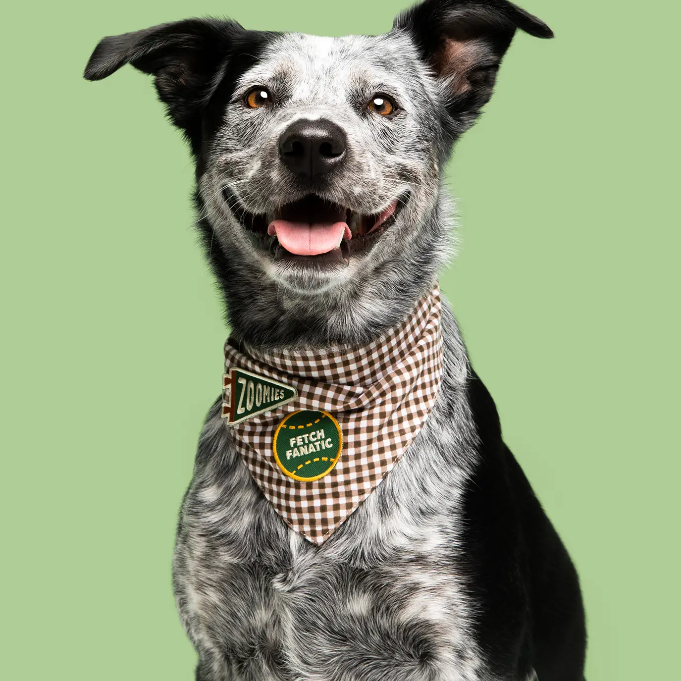 Badge thermocollant pour chien "Fetch Fanatic"-Patch et badges-Scoot's Honor-Muzon